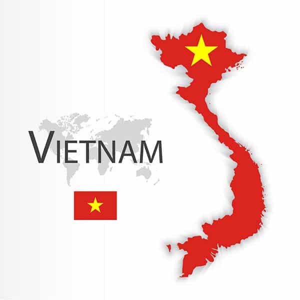 Chi nhánh của Kiến Vàng tại Việt Nam