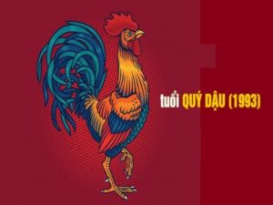 Tuoi Quy Dau Khai Truong Ngay Nao Dep