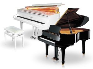 Van Chuyen Dan Piano 1