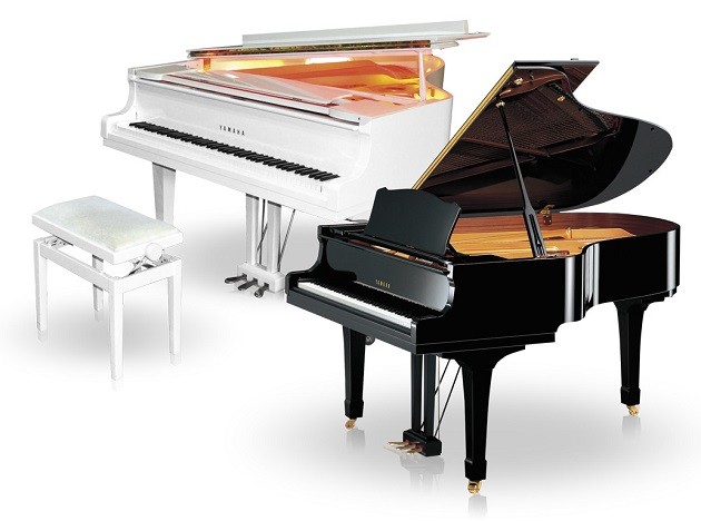 Van Chuyen Dan Piano 1