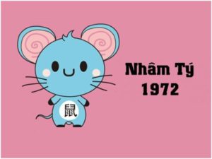Xem Ngay Chuyen Nha Nham Ty 1972
